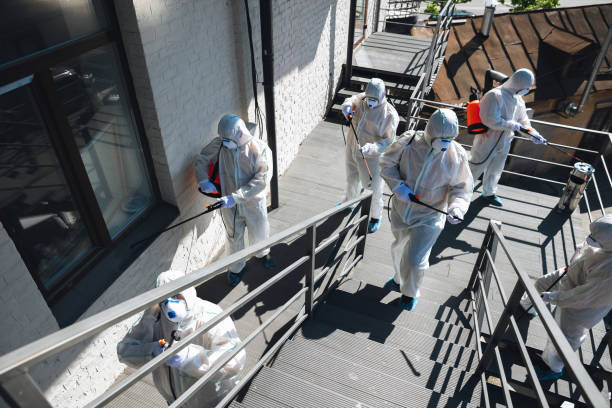 Best Comprehensive Air Testing for Mold Contaminants  in Paisley, FL