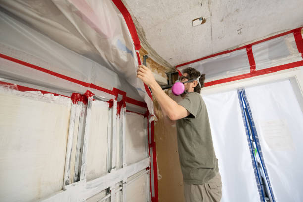 Best Commercial Mold Inspection  in Paisley, FL