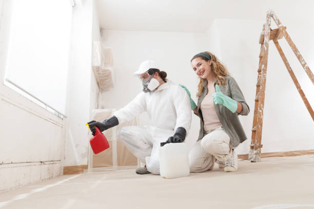 Best Residential Mold Inspection & Testing  in Paisley, FL